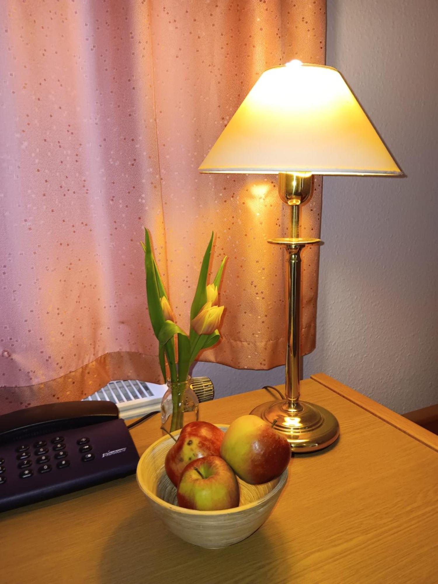Hotel Burghof Oberweißbach Екстериор снимка